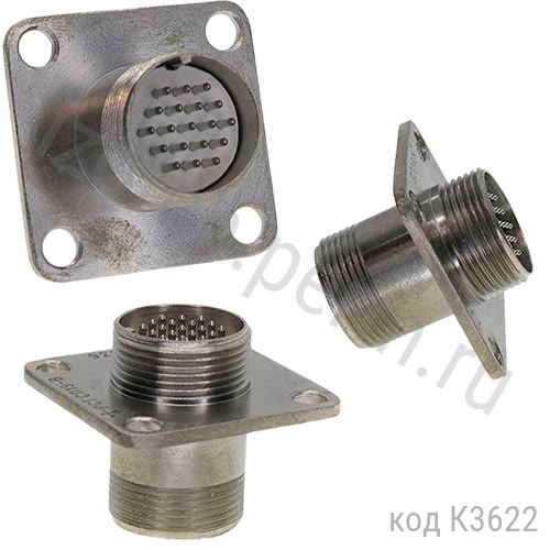 �����19� 