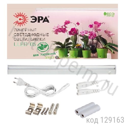 ���������� �������� ���� (14��) 