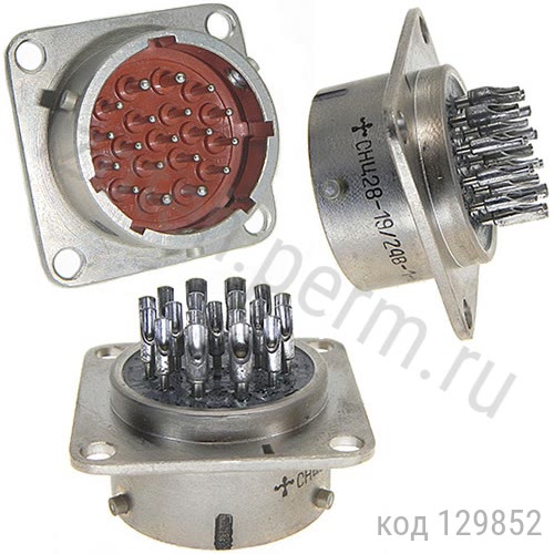 ���28-19/24�-1-� 