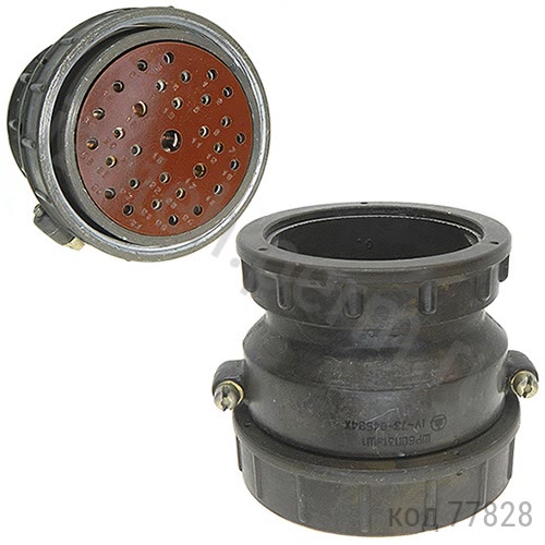 ��60�31��1 